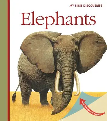 Slony - Elephants