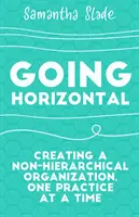Horizontálne: Vytváranie nehierarchickej organizácie, jedna prax za druhou - Going Horizontal: Creating a Non-Hierarchical Organization, One Practice at a Time
