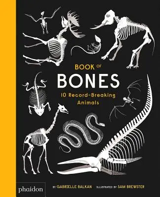 Kniha kostí: 10 rekordných zvierat - Book of Bones: 10 Record-Breaking Animals