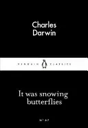 Snežilo motýľom - It Was Snowing Butterflies