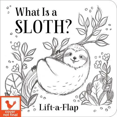 Čo je to lenivec? - What Is a Sloth?