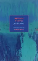 Melville: Román - Melville: A Novel