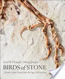 Vtáky z kameňa: Čínske vtáčie fosílie z doby dinosaurov - Birds of Stone: Chinese Avian Fossils from the Age of Dinosaurs