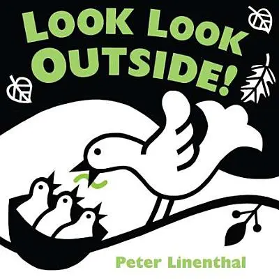 Pozrite sa vonku! - Look Look Outside!