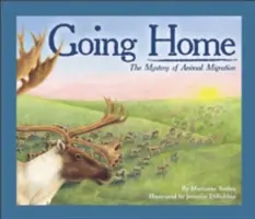 Na ceste domov: Záhada migrácie zvierat - Going Home: The Mystery of Animal Migration