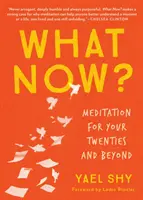 Čo teraz? Meditácia po dvadsiatke a neskôr - What Now?: Meditation for Your Twenties and Beyond