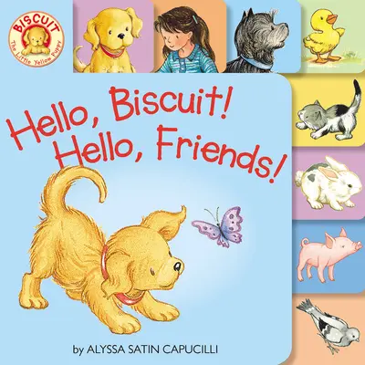Ahoj, Piškót! Ahoj, kamaráti! Tabuľková kniha - Hello, Biscuit! Hello, Friends! Tabbed Board Book