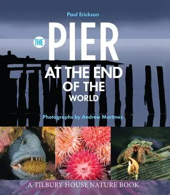 Mólo na konci sveta - The Pier at the End of the World