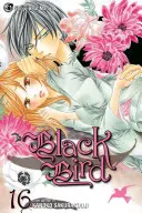 Čierny vták, zväzok 16 - Black Bird, Volume 16