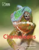Chameleóny - Chameleons