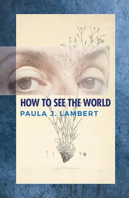 Ako vidieť svet: Básne - How to See the World: Poems