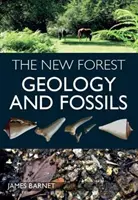 Nový les - geológia a skameneliny - New Forest - Geology and Fossils