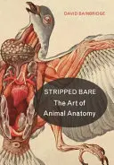 Obnažené: Umenie anatómie zvierat - Stripped Bare: The Art of Animal Anatomy