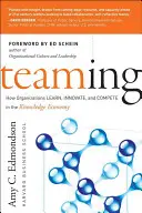 Tímová spolupráca - Teaming
