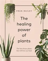 Liečivá sila rastlín - Hrdinské izbové rastliny, ktoré vám lásku opätujú - Healing Power of Plants - The Hero House Plants that Love You Back