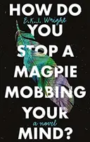 Ako zastaviť straku, ktorá vám mobuje myseľ? - How Do you Stop a Magpie Mobbing Your Mind?