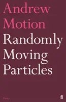 Náhodne sa pohybujúce častice - Randomly Moving Particles