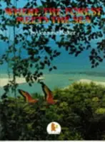 Kde sa les stretáva s morom - Where the Forest Meets the Sea