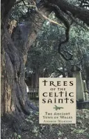 Stromy keltských svätcov Starobylé tuje Walesu - Trees of the Celtic Saints   The Ancient Yews of Wales