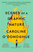 Scény grafickej povahy - Scenes of a Graphic Nature