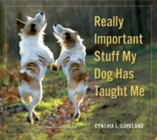 Skutočne dôležité veci, ktoré ma naučil môj pes - Really Important Stuff My Dog Has Taught Me