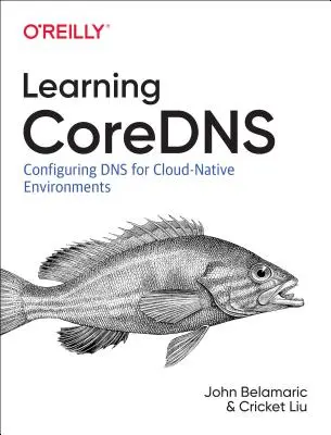 Učebné jadrá: Konfigurácia DNS pre cloudové prostredie - Learning Coredns: Configuring DNS for Cloud Native Environments