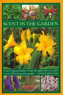 Vôňa v záhrade: Vytvorte si voňavý raj, z ktorého sa budete tešiť po celý rok, na 100 úžasných fotografiách - Scent in the Garden: Create a Fragrant Paradise to Enjoy Throughout the Year, Shown in 100 Stunning Photographs