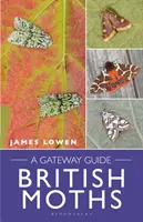 Britské motýle: Sprievodca po bránkach - British Moths: A Gateway Guide