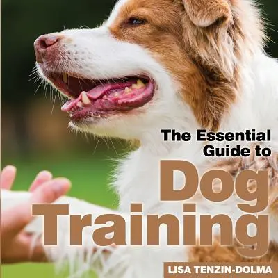 Výcvik psov - Dog Training