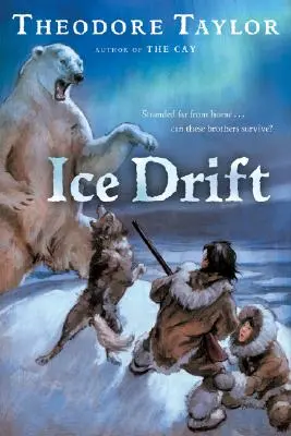 Ľadový drift - Ice Drift