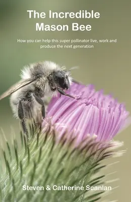 Neuveriteľná včela Masonová - The Incredible Mason Bee