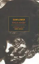 Slnečnica - Sunflower