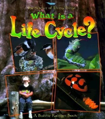 Čo je životný cyklus? - What Is a Life Cycle?