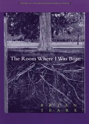 Izba, v ktorej som sa narodil - The Room Where I Was Born