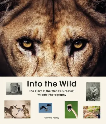 Do divočiny: Príbeh najväčších fotografií divokej prírody na svete - Into the Wild: The Story of the World's Greatest Wildlife Photography