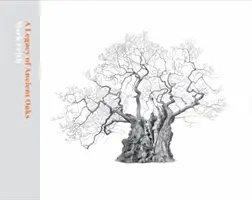 Odkaz starobylých dubov - A Legacy of Ancient Oaks
