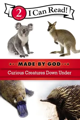 Curious Creatures Down Under: Úroveň 2 - Curious Creatures Down Under: Level 2