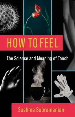 Ako cítiť: veda a význam dotyku - How to Feel: The Science and Meaning of Touch