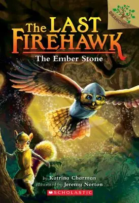 Kameň Ember: Kniha o vetvách (Posledný jastrab ohnivák č. 1), 1 - The Ember Stone: A Branches Book (the Last Firehawk #1), 1