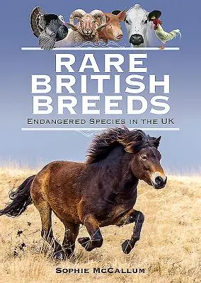 Vzácne britské plemená: Ohrozené druhy v Spojenom kráľovstve - Rare British Breeds: Endangered Species in the UK