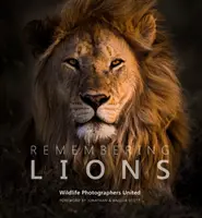 Spomienka na levy - Remembering Lions
