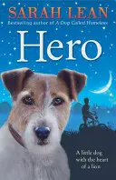 Hrdina - Hero
