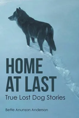 Konečne doma: Pravdivé príbehy o stratených psoch - Home at last: True Lost Dog Stories