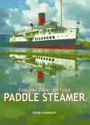 Kedysi všadeprítomný veslový parník - Once-Ubiquitous Paddle Steamer