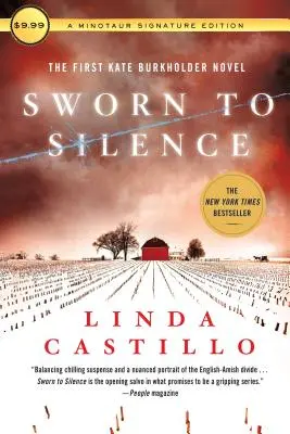 Prísaha mlčanlivosti: Prvý román Kate Burkholderovej - Sworn to Silence: The First Kate Burkholder Novel