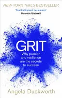Odvaha - Prečo sú vášeň a odolnosť tajomstvom úspechu - Grit - Why passion and resilience are the secrets to success