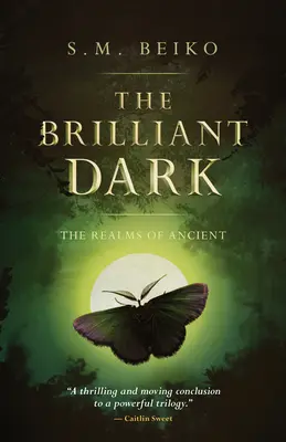 Brilantná temnota: Ríše prastarých, kniha 3 - The Brilliant Dark: The Realms of Ancient, Book 3