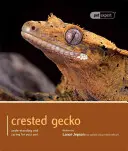 Gekón chocholatý: Pochopenie a starostlivosť o vášho domáceho miláčika - Crested Gecko: Understanding and Caring for Your Pet
