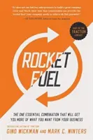 Raketové palivo: Jedna základná kombinácia, ktorá vám prinesie viac toho, čo od svojho podnikania chcete - Rocket Fuel: The One Essential Combination That Will Get You More of What You Want from Your Business