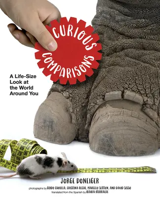 Zvedavé porovnania: Pohľad na svet okolo vás v životnej veľkosti - Curious Comparisons: A Life-Size Look at the World Around You